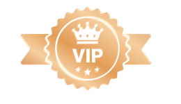 Bronze VIP